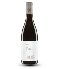 Pinot Noir Selektion "P" 2022