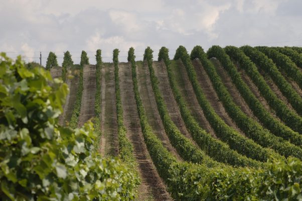 Altenberg-credits-helmreich 4