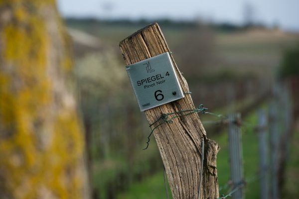 Spiegel-Weingartentafel_credit-helmreich 2