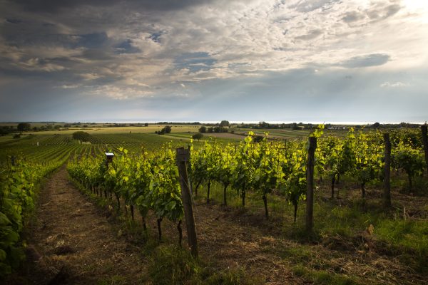 Ungerberg1-Frühling_credit-helmreich 2